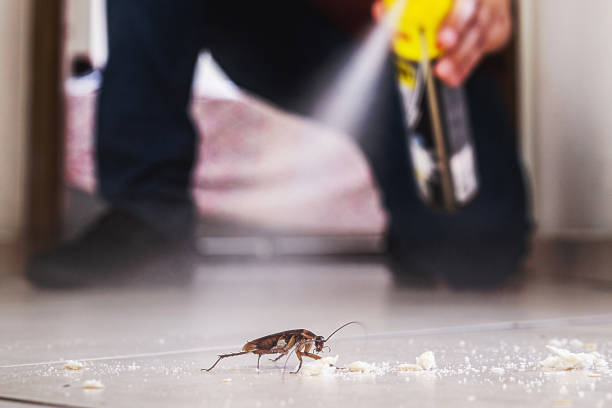 Professional Pest Control in Butler, AL