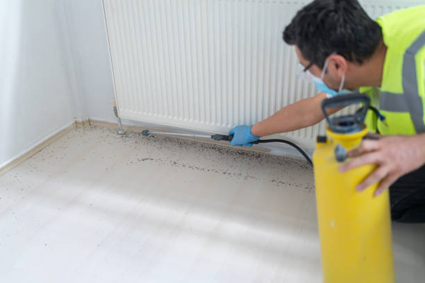 Best Mosquito Control Services  in Butler, AL