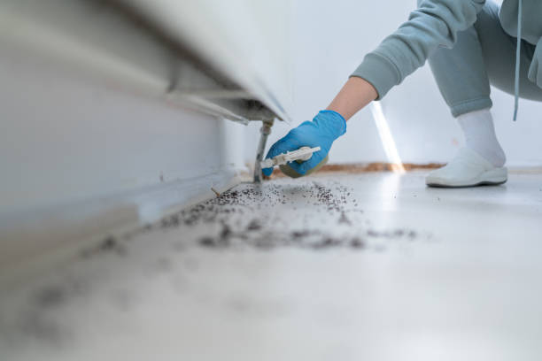 Best Mosquito Control Services  in Butler, AL