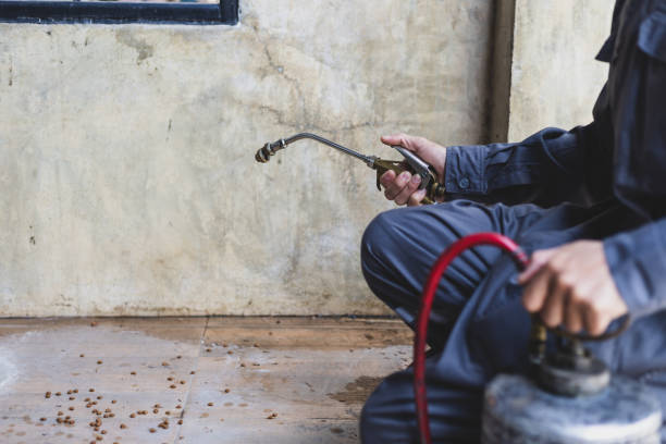 Best Affordable Pest Control Services  in Butler, AL